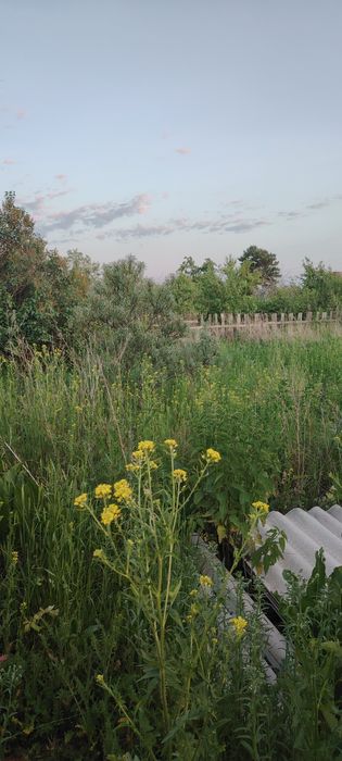 Продаётся дачный участок