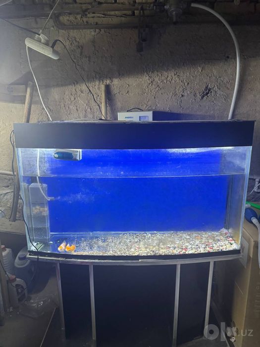 Akvarium Podstavka bilan