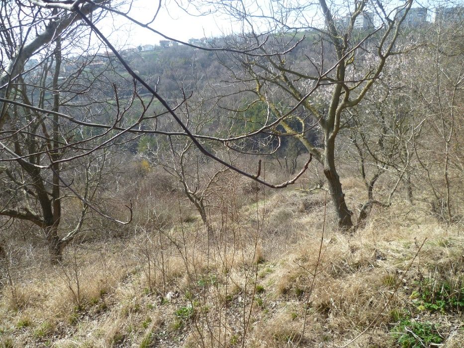 Недвижим имот 2350 квадратни метра,продава се 100 евро квадратен метър