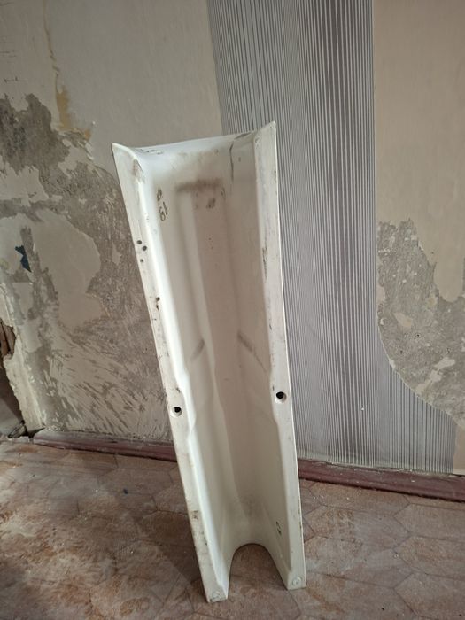 Тюльпан раковина