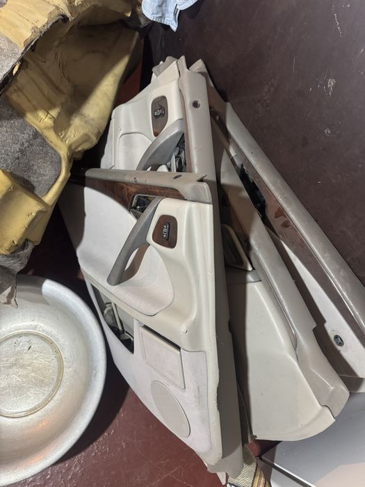 Салон от лупарика w210