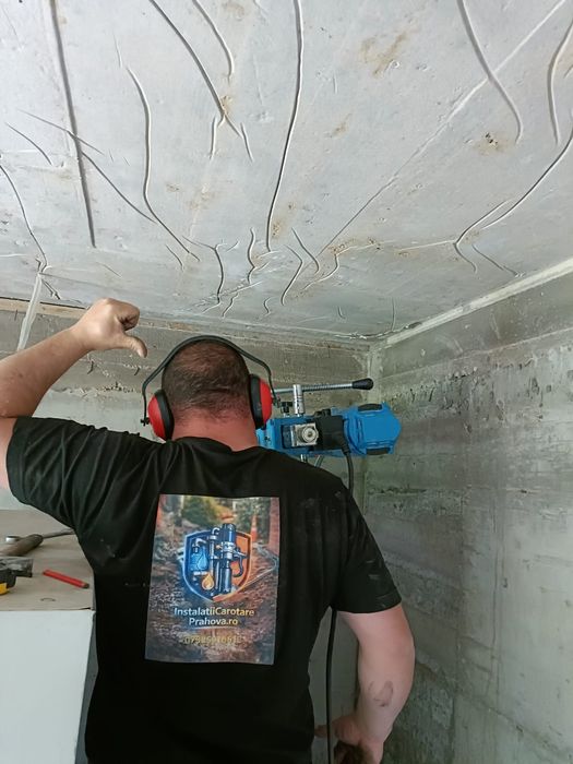 Servicii carotre  Profesionale