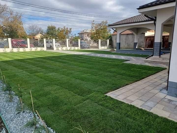 Însămânțare gazon rulou