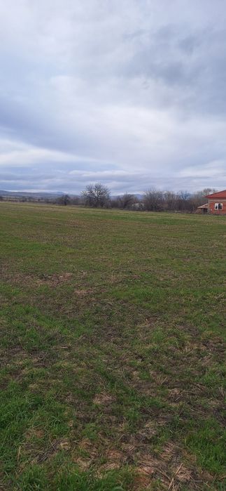 продавам  упи село Найден Герово