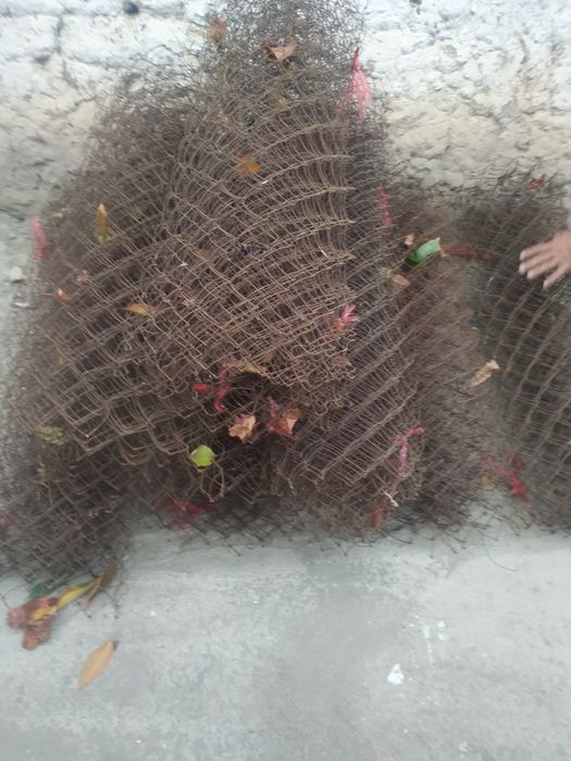 Setkali simlar toʻsiq uchun