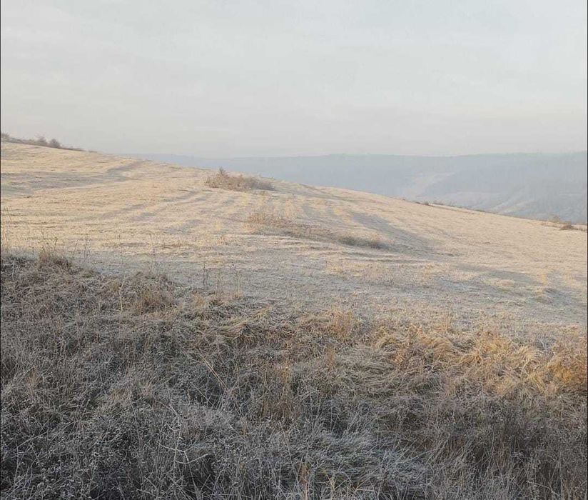 Curat pasuni (suprafete mari) in judetul Cluj