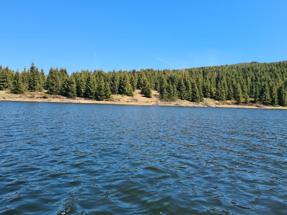 De vinzare teren în comuna Beliș, sat Giurcuța de Jos, județul Cluj