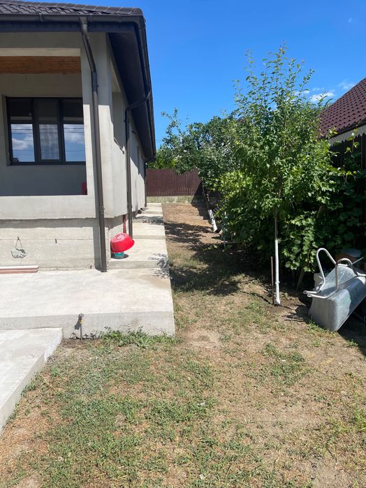 Vanzari imobiliare