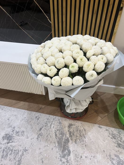 101шт момоки , утренние . Свежие