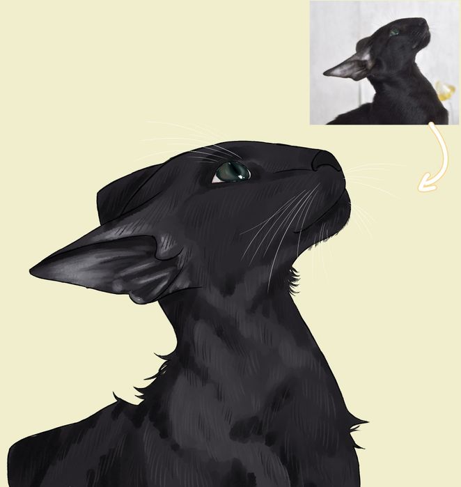 Рисунок питомца, нарисую питомца