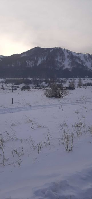 Земельный участок