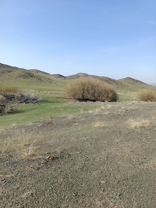 Фазенда сатылады