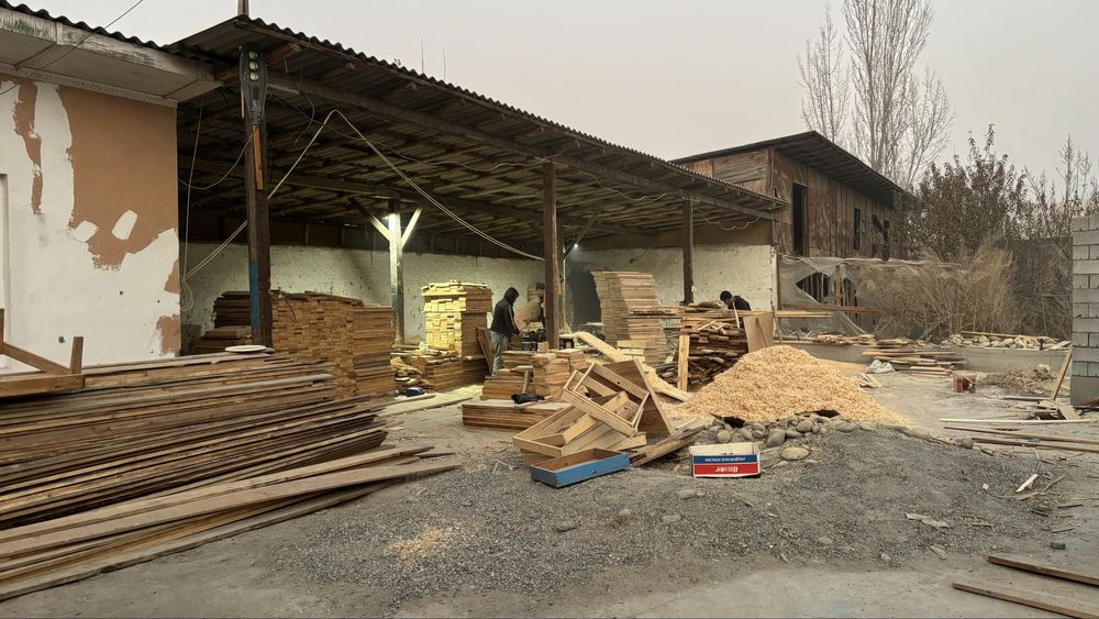 Asalari uyalari пчёл