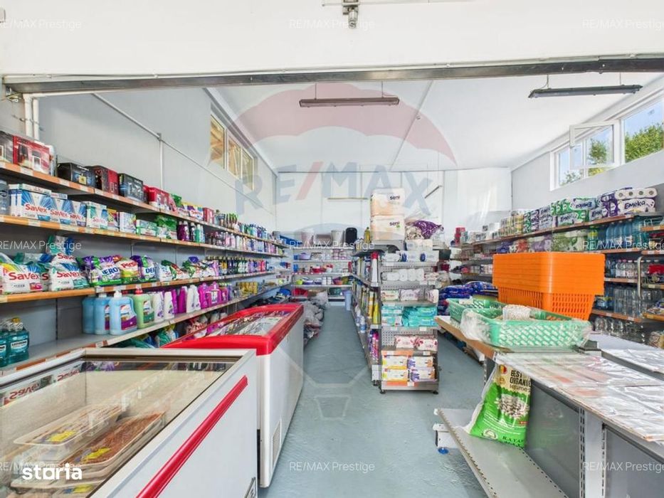 Magazin Mixt / Hală Depozitare / Producție / Comerț + Casă