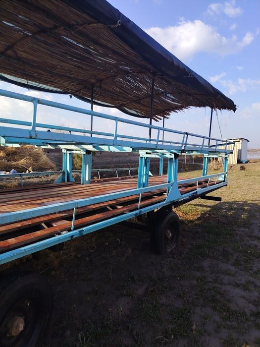 Асалари павелен сотилади