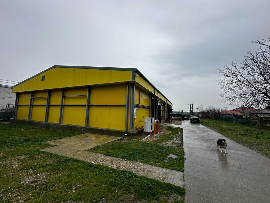 Fabrica de procesare peste si crustacee - Proprietatea Imobiliară Industrială situată în Loc. 23 August Jud. Constanta