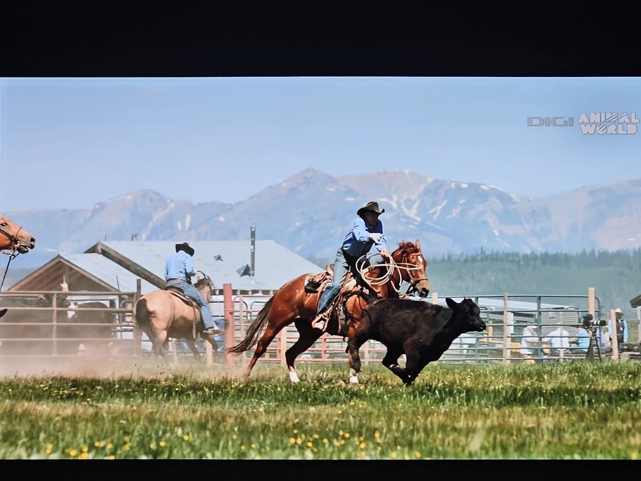 EPSON TW9400 (ca nou)