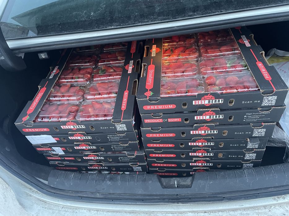 Клубника свежая Египет