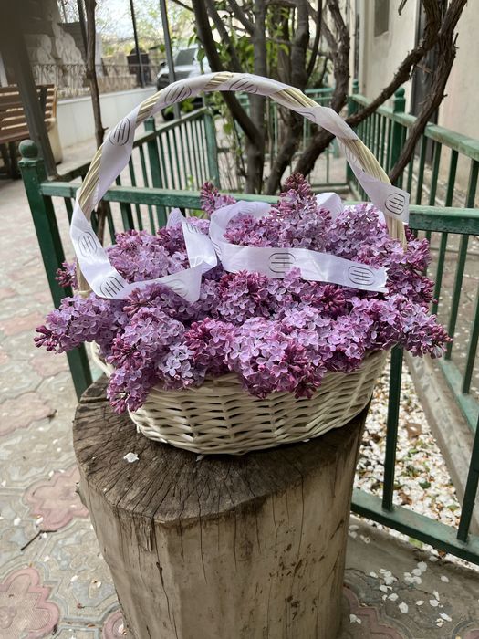 Сирень букет корзина 10к