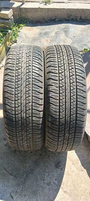 Продам летний Покрышки
