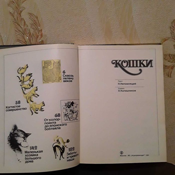 кошка, кошки энциклопедия