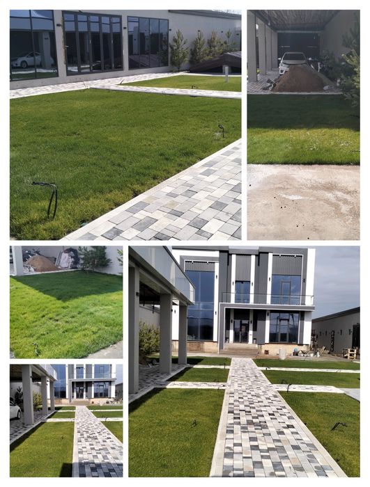 Газон/Автополив г.Шымкент