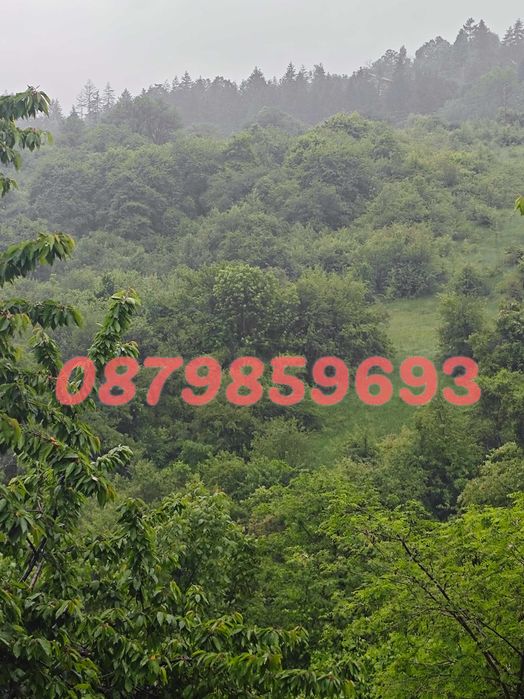 Продава се Къща в София, Център - 360 кв.м за 963 €/кв.м - Снимка #10