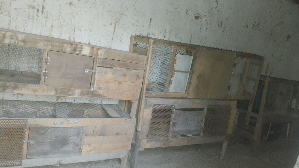 Клеткалар сатылады