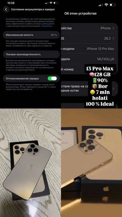 iPhone 13 Pro Max