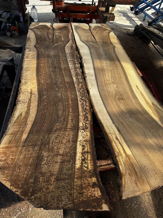 Орех 3м л д 70+ш масив