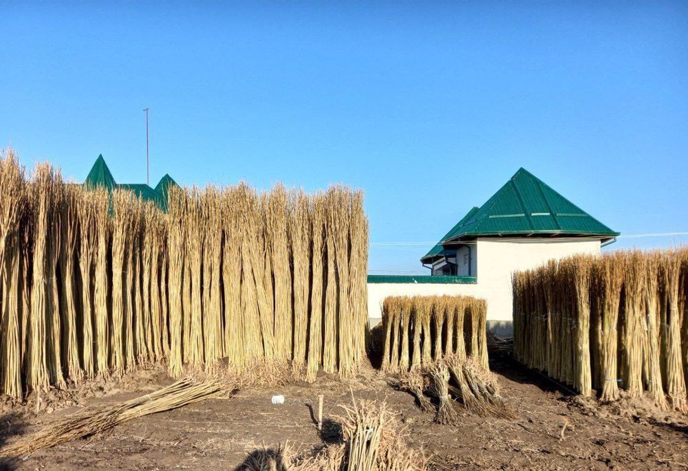 Теракт кочатлар сотувда