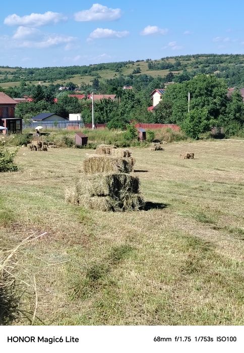 Baloți de fân de vânzare