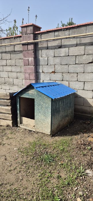 Будка для собаки