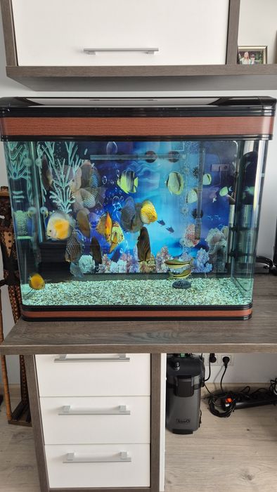 Продам аквариум на 200 литров.