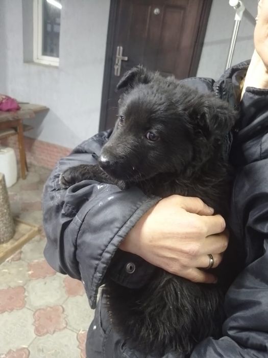 НАЙДЕНА 5 апреля 2025 в Каскелене