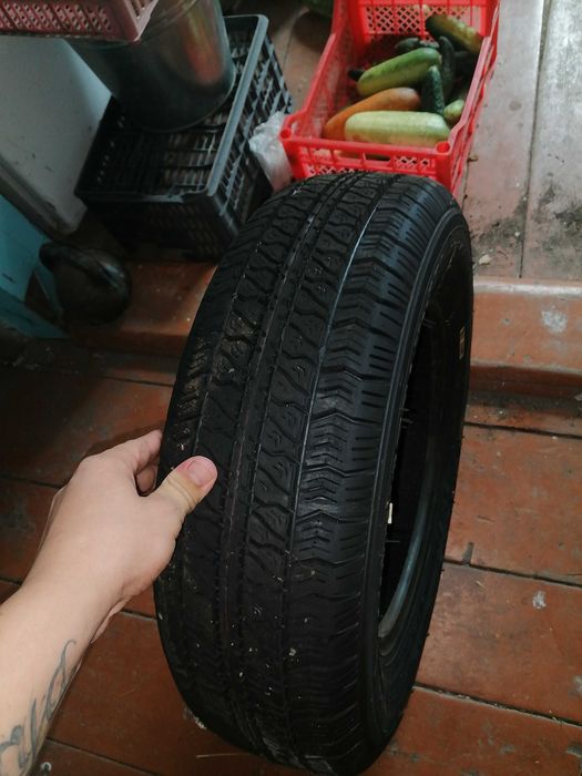 Продам баллоны все сезонка