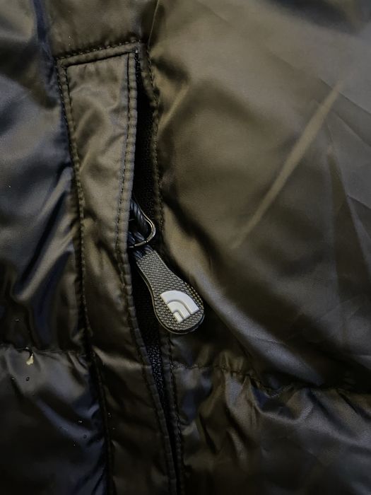 vesta the north face