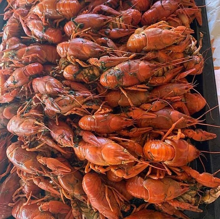 Раки рыба креветки