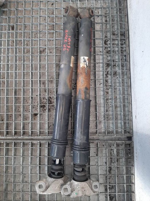 set amortizoare telescoape spate 1.6 hdi  peugeot 3008