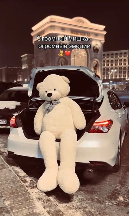 Мишка и гусь большие плюшевые