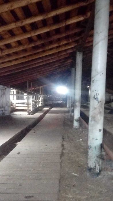 Срочно! Продам базу. Трудовая Нива. 30 км от Петропавловска - More