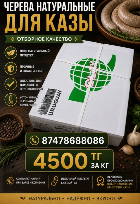 Черева (ишек) конины для казы