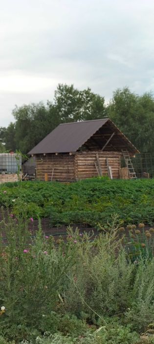 Сруб для бань и загородных домов