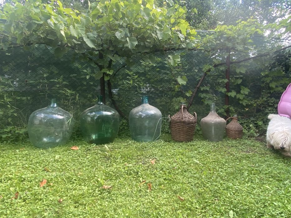 Damigene vechi 50L