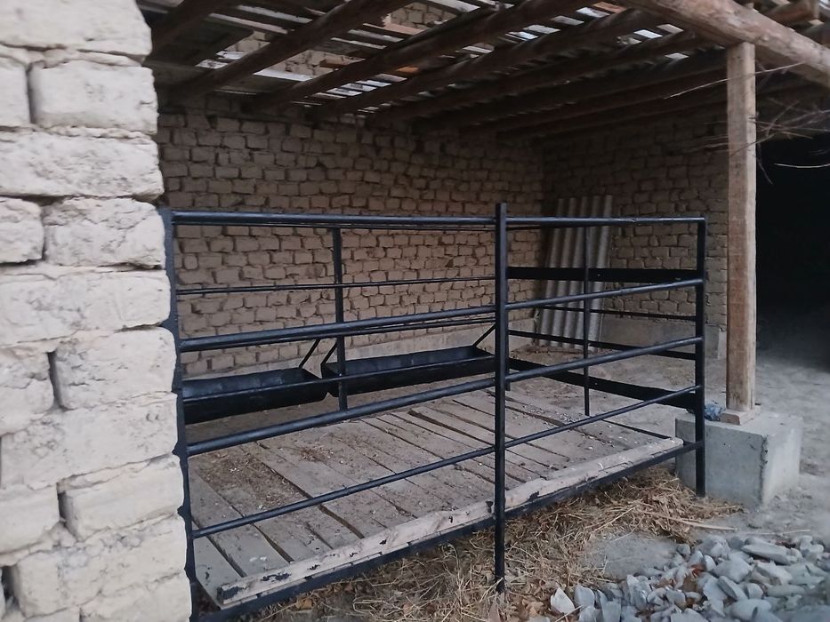 Qo'y qo'ra arzon sotiladi