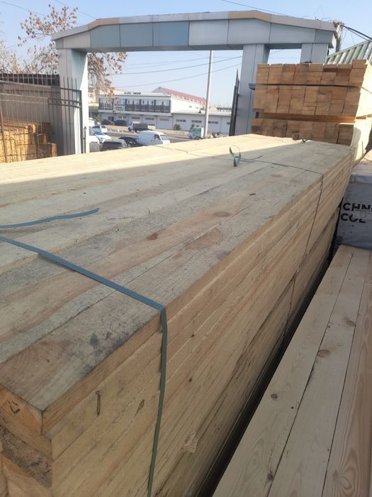 Tere to'sin mahsulotlari