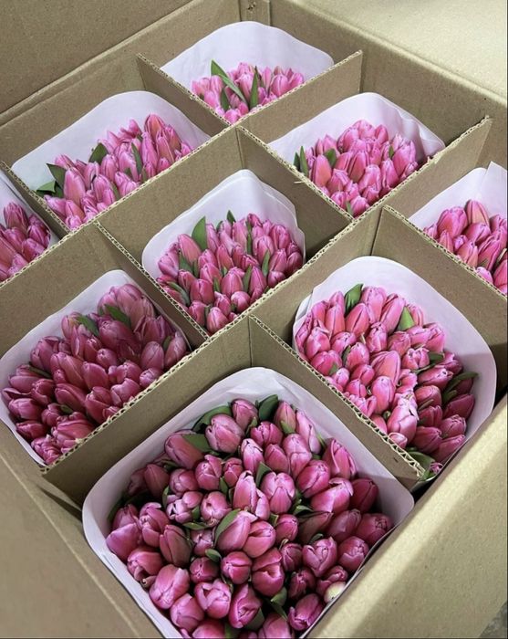 Оптовые тюльпаны к сезону Павлодар