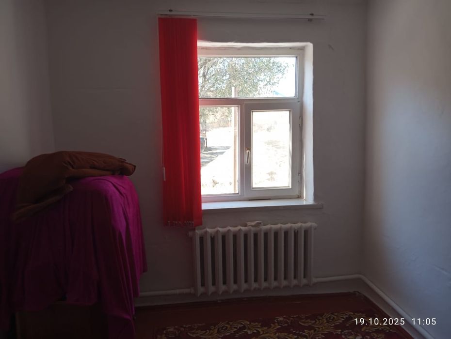 Кызылжармада уй сатылады