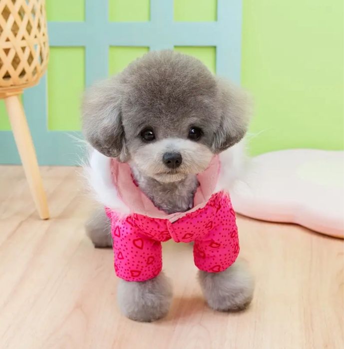 Зимний комбинезон для собак