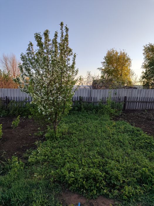 Продам дачу в СО Пригородное  .5соток